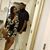 Talaia Montgomery's profile image