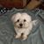 Debi Hirth's profile image