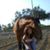 Maria Michaelson's profile image