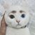 Thomas R Bishop's profile image