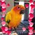 Terra Arndt's profile image
