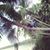 Cherian K K's profile image