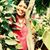 Pandit Rekha Sharma's profile image