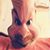 Kendall Williams's profile image