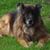 Andrea Beresa Bonilla's profile image