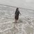 Miry Gastelum's profile image