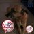 Shelley Mancinone DiCarlo's profile image