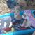Candy Conibear's profile image