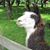 Deborah Martin-Lee's profile image