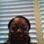 Tam Brown's profile image
