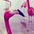 Julie Raines's profile image