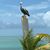 Cheryl Barber Brisson's profile image