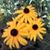 Jee-Sun Kim's profile image