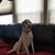 Kristin Ertl-Novick's profile image