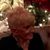 MaryAnn Christensen Eyde's profile image