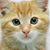 Jackson Donald's profile image