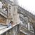 Susy Lopez Resendez's profile image