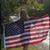Lexuslynn Rodriguez's profile image