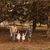 Casey Allen Balzer's profile image