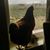 Kelly Ritzma's profile image