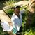 Blanca Sanoja Bozo's profile image