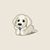 Sandra Cordell's profile image