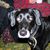 Beverly Chase's profile image