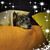 Cheryl Tait's profile image