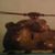 Daniel Chapin's profile image