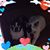 John Romeo's profile image