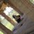 Yasi Payandehjoo's profile image