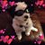 Mark Deplasco's profile image