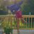 Sarah Ayoun's profile image