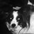 Kimberly Vaughan's profile image