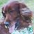 Kathy Thompson's profile image