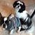 Alondra Marroquin's profile image