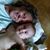 Christi McCracken's profile image