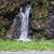 Sharon Stephens Schaefer's profile image
