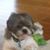 Susan Getgen's profile image