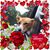 Annie Mack's profile image
