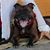 Julie Zambrano's profile image