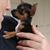 Carolyn O'Neil's profile image