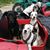 Oliver Geyer's profile image