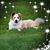 Katie Bondhus's profile image