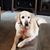 Sherry Wetmore's profile image
