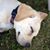 Wendy A Walz's profile image
