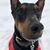 Amy Radka's profile image