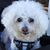 Shellie Salay's profile image