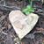 Shelley Latta's profile image