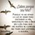 Olivero Gina's profile image